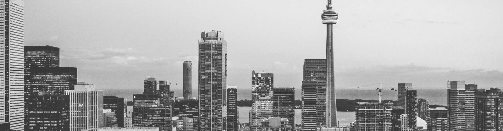 banner 1.jpg